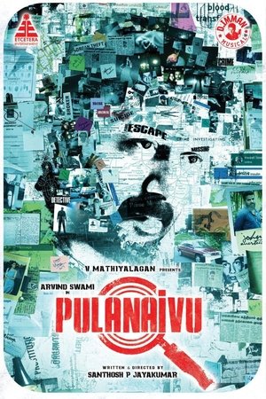 Pulanaivu poster