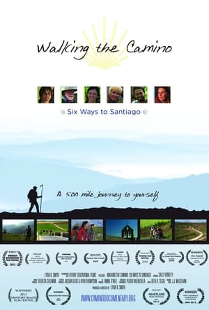 Poster ¡Buen camino! 2013