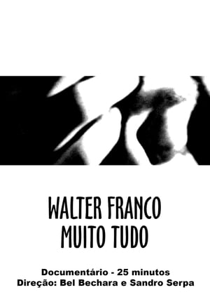 Poster Walter Franco Muito Tudo 2000