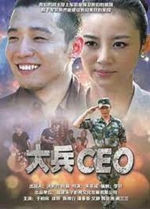 Poster Soldier CEO 2013
