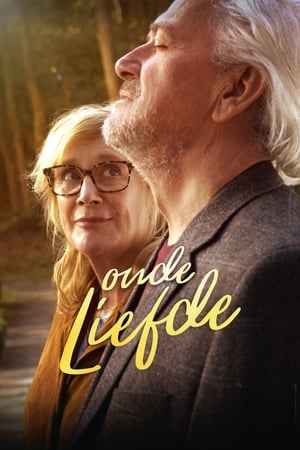 Poster Oude liefde 2017