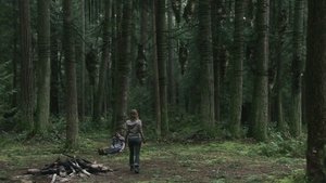 Blood Forest
