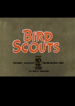 Bird Scouts poster