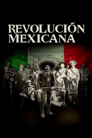 Revolución mexicana 2007