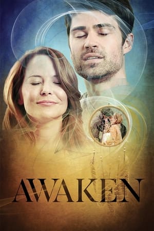 Poster Awaken (2013)