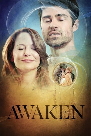 Poster Awaken 2013