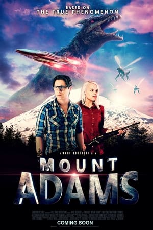 Mount Adams streaming