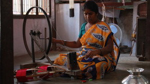 Car Shredder, Sarees, Worcestershire Sauce