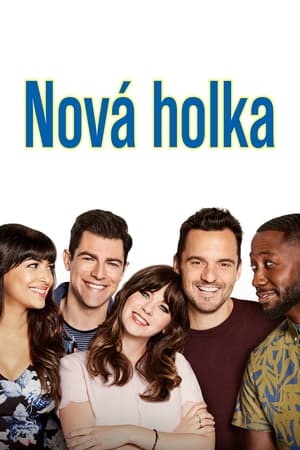 Poster Nová holka 2011