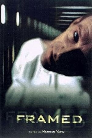 Poster Framed (1999)