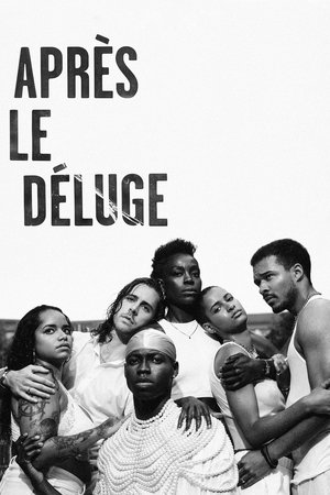 Après le déluge movie poster