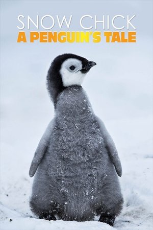 Assistir Snow Chick - A Penguin's Tale Online Grátis