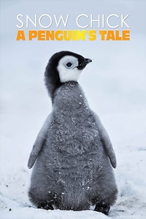 Poster Historia de un pingüino 2015