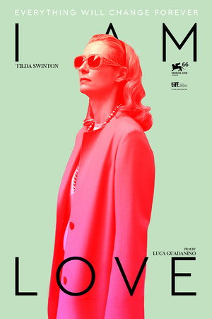 Постер фильма «Я – это любовь (2009)» — (11 из 27)