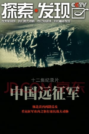 Poster 中国远征军 2010