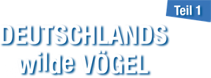 Deutschlands wilde Vögel
