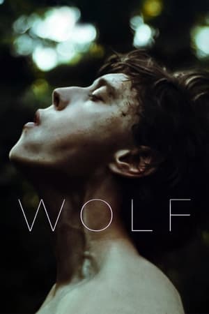 voir film Wolf streaming vf