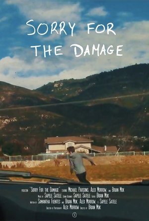 Poster Sorry For the Damage 2016
