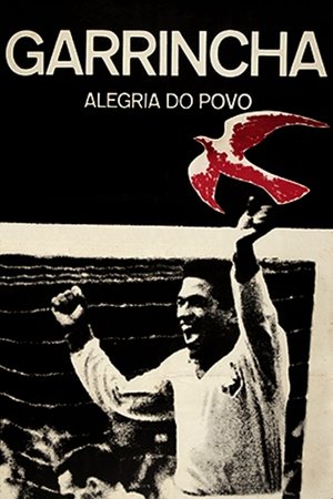 Poster di Garrincha, Alegria do Povo