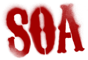 Ảnh 301