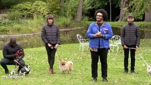 Dating with dogs : L'Amour, mon Chien et Moi Season 1 : Episode 3 