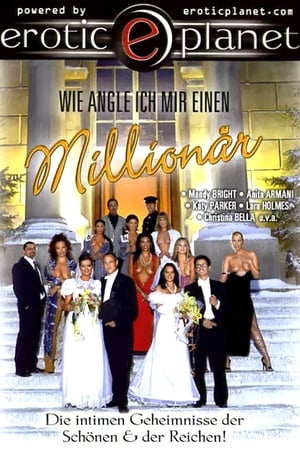 Poster Wie angle ich mir einen Millionär (2006)