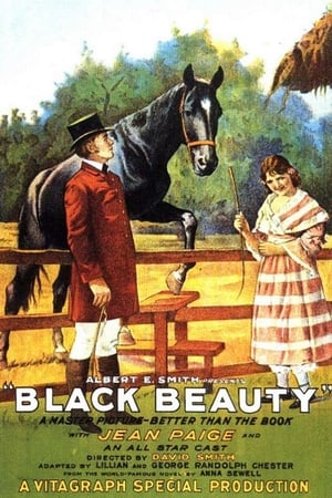 Poster Black Beauty (1921)
