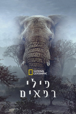 Image פילי רפאים