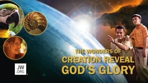 The Wonders of Creation Reveal God's Glory film complet