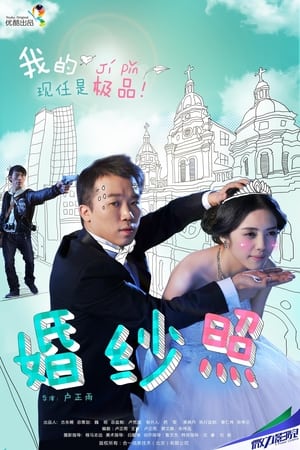 Poster 婚纱照 2013