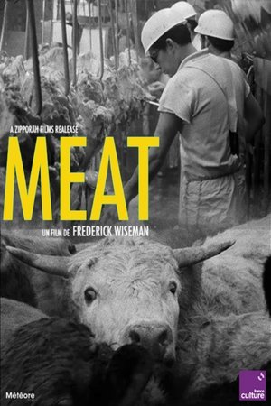 Affiche de Meat