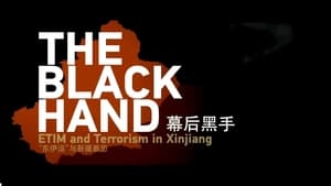 The black hand — ETIM and terrorism in Xinjiang