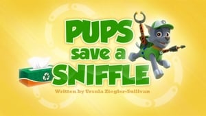 PAW Patrol Pups Save a Sniffle