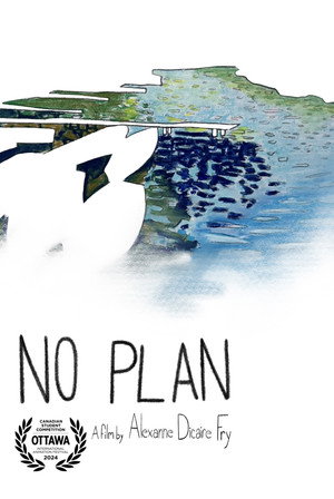 No Plan