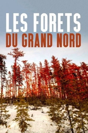 Les forêts du Grand Nord's Poster