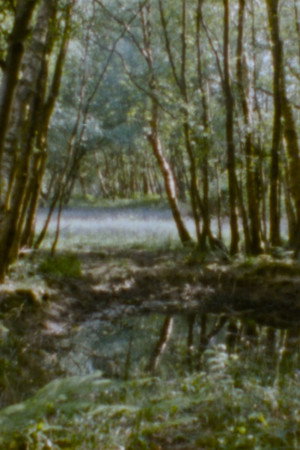 Landscape as Landscape - 29