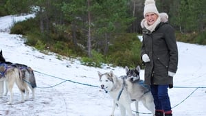 Mary Berry's Simple Comforts Winter Woodland