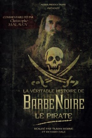 Poster La Véritable Histoire de Barbe Noire le pirate 2006