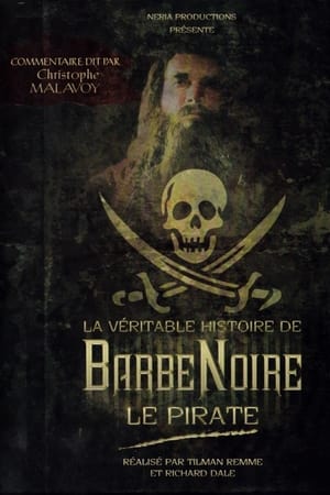 Image La Véritable Histoire de Barbe Noire le pirate