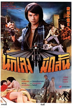 Poster Golden Fists of a Duo (1981)