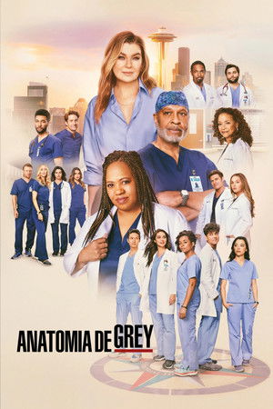 poster Grey's Anatomy