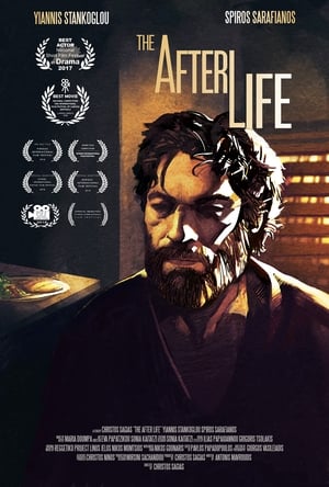 Poster The After Life (2017)