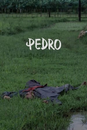 Poster Pedro (2021)