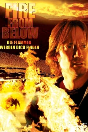 Fire from Below (2009)