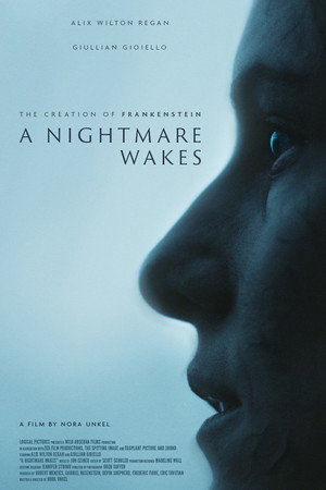 A Nightmare Wakes
