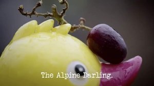 Taskmaster: Champion of Champions The Alpine Darling