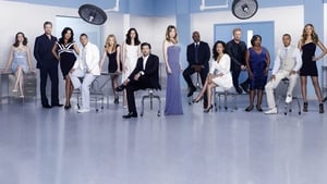 poster Grey's Anatomy - Season 4