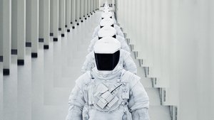 The Signal (2014)