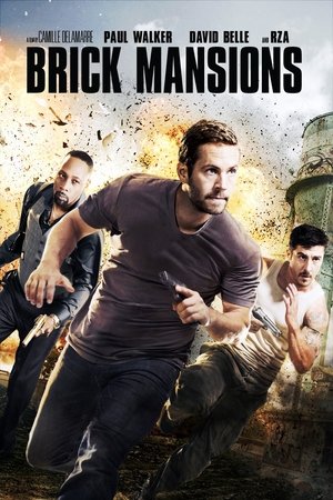 Click for trailer, plot details and rating of Brick Mansions (2014)