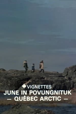 Poster Canada Vignettes: June in Povungnituk - Quebec Arctic (1980)